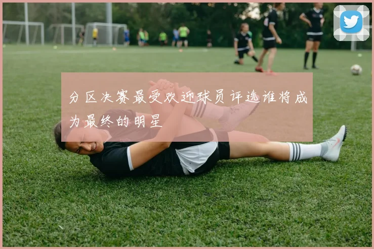 分区决赛最受欢迎球员评选谁将成为最终的明星