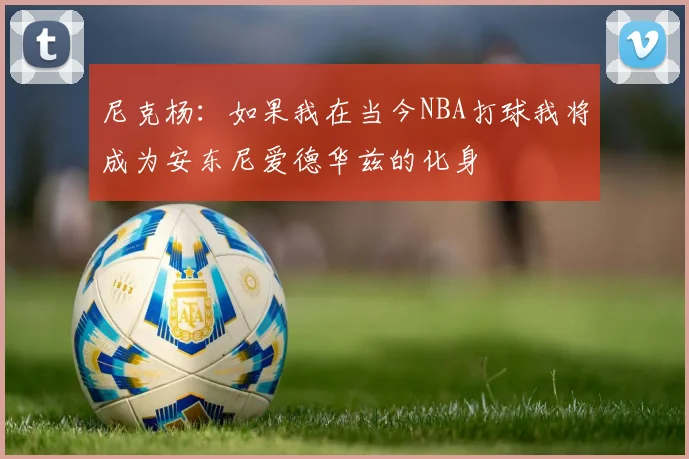 尼克杨：如果我在当今NBA打球我将成为安东尼爱德华兹的化身